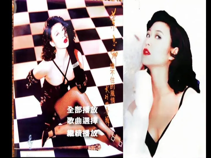 [DVD音乐专辑碟][叶玉卿 – 挡不住的风情B 卡拉OK][DVD ISO][2.84G][百度网盘]