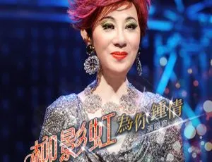 柳影虹2014香港“为你钟情”演唱会DVD 7.48G百度网盘资源-小文资源网