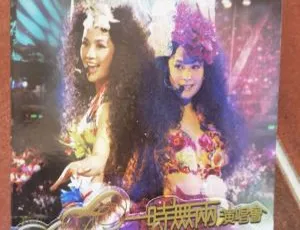 Twins 2006香港一时无两演唱会DVD ISO 7.03GB 百度网盘资源-小文资源网