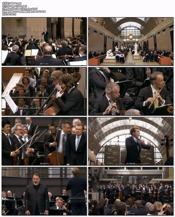 [BD欧美演唱会][欧洲音乐会 Europakonzert 2019 from Paris][BDMV][39.5GB][百度网盘]