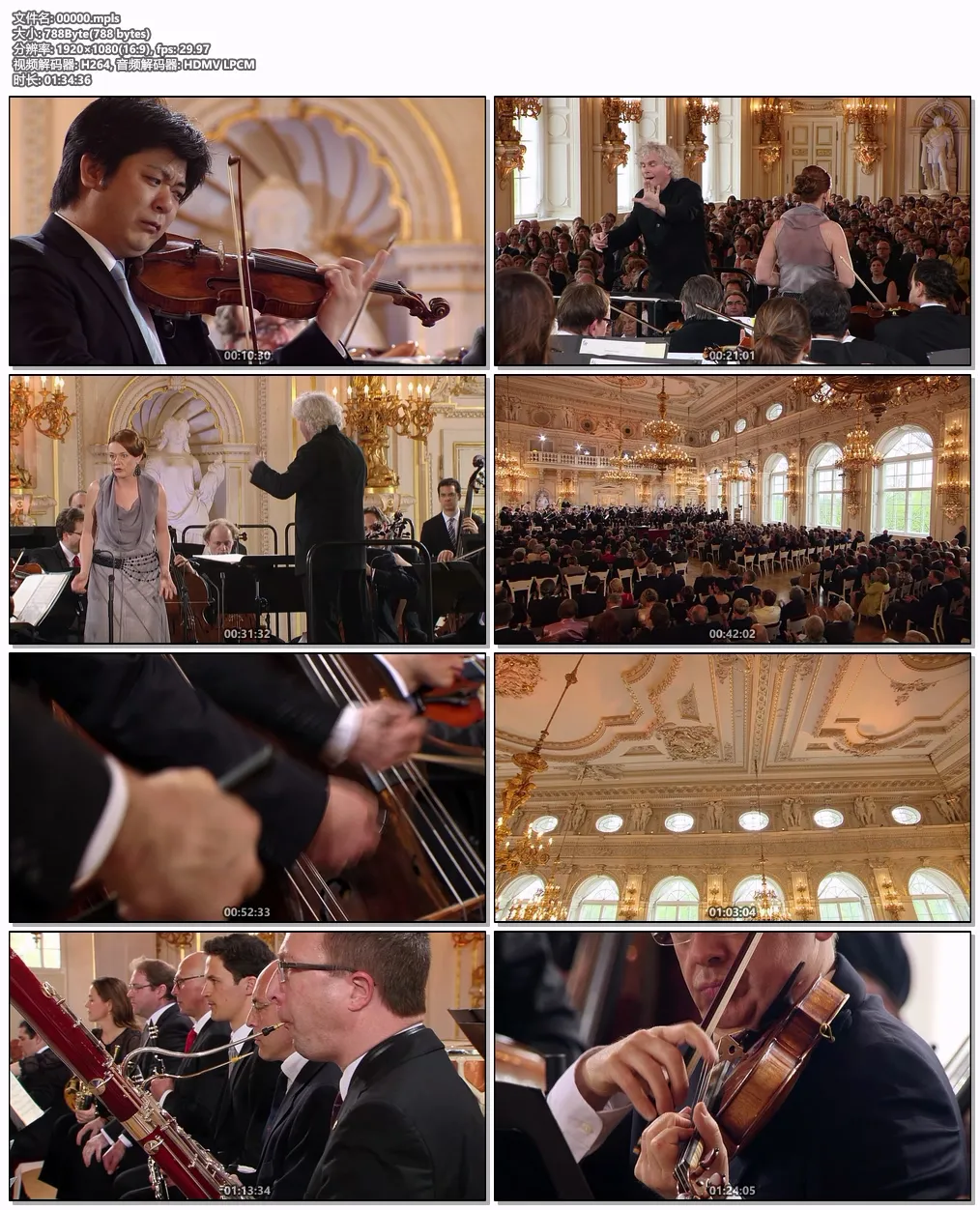 [BD欧美演唱会][欧洲音乐会 Europakonzert 2013 from Prague][BDMV][20.8GB][百度网盘]