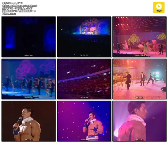 [DVD香港演唱会][刘德华 Andy Lau Vision Tour 2004-2005 幻影中国巡回演唱会 港台版卡拉OK+LIVE+Bonus][3DVD ISO] [7.79G+7.27G+4.25G][百度网盘]