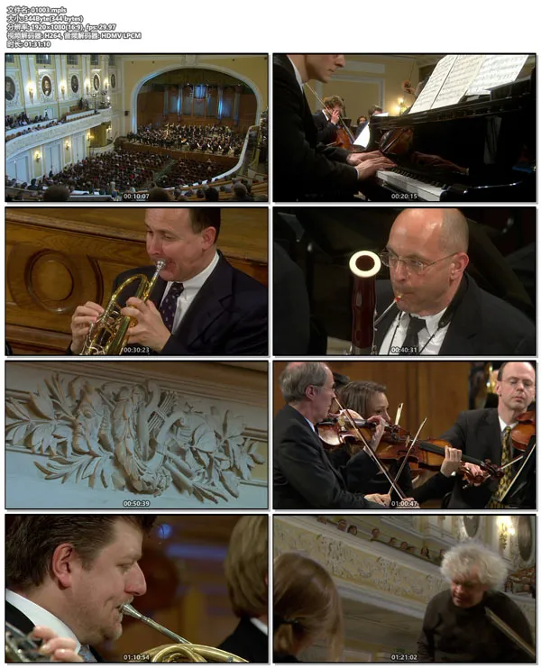 [BD欧美演唱会][欧洲音乐会 Europakonzert 2008 from Moscow][BDMV][21.9GB][百度网盘]