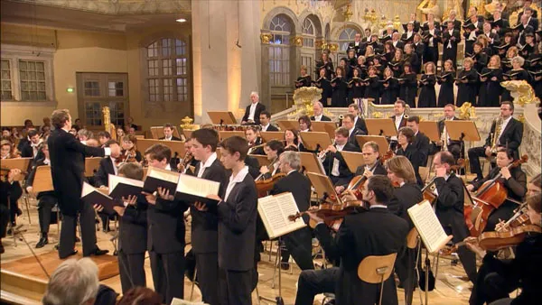 [BD欧美演唱会][Homage to Robert Schumann 2010][BDMV][17.6GB][百度网盘]