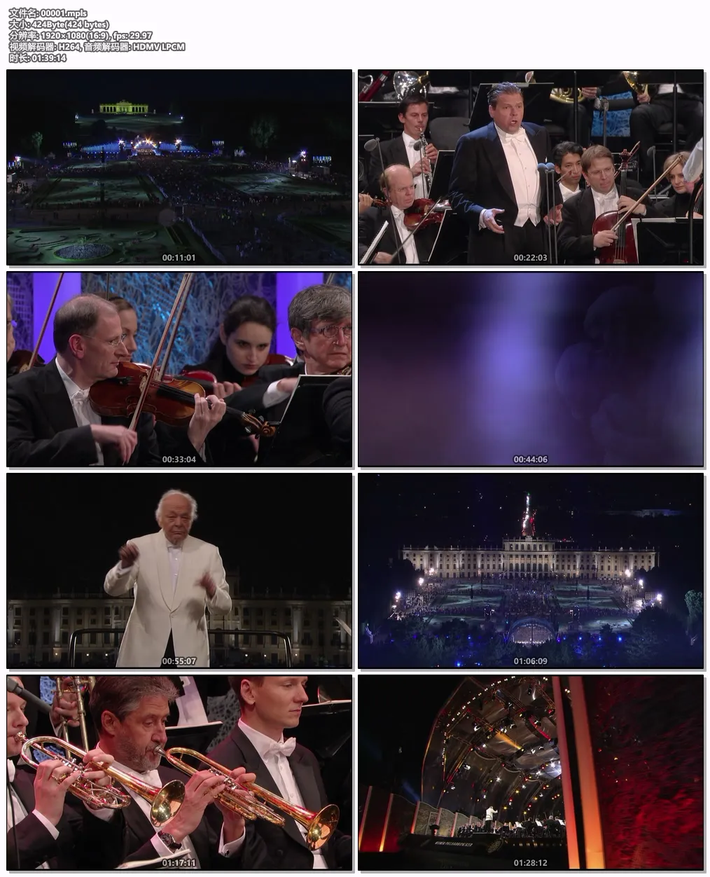 [BD欧美演唱会][2013维也纳美泉宫夏季音乐会 Sommernachtskonzert  Summer Night Concert 2013][BDMV][26.1GB][百度网盘]