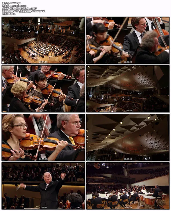 [BD欧美演唱会][欧洲音乐会 Europakonzert 2014 from Berlin][BDMV][20.8GB][百度网盘]