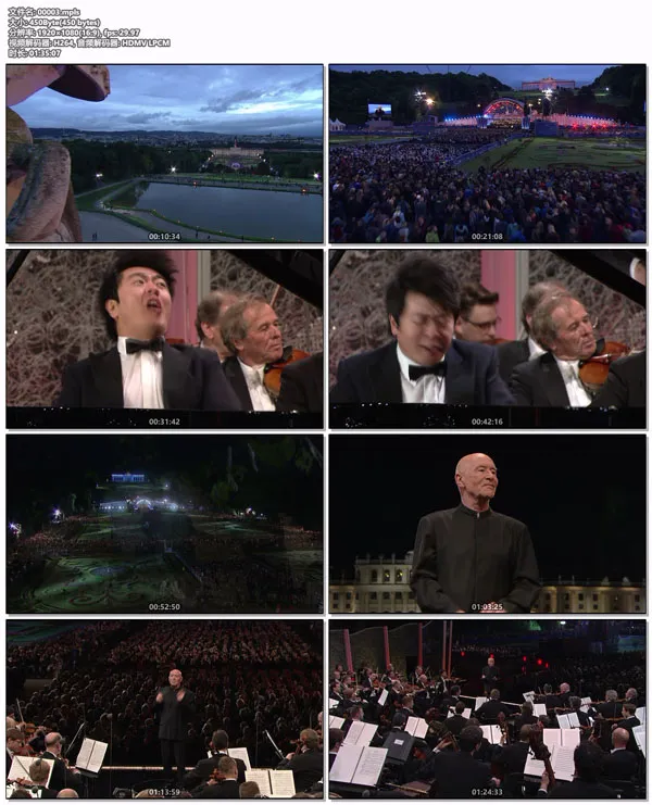 [BD欧美演唱会][2014维也纳美泉宫夏季音乐会 Sommernachtskonzert  Summer Night Concert 2014][BDMV][30.7GB][百度网盘]
