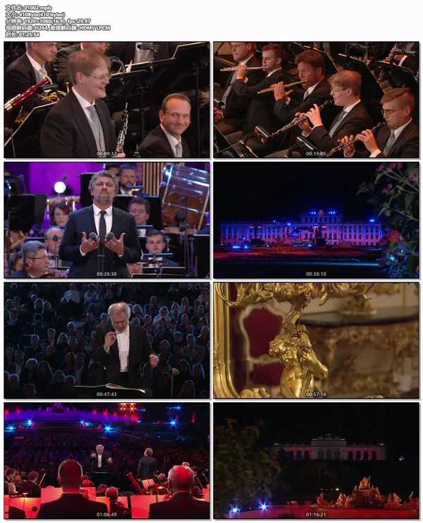 [2020维也纳美泉宫夏季音乐会 Sommernachtskonzert  Summer Night Concert 2020][BDMV][19.6GB][BD欧美演唱会][百度网盘]
