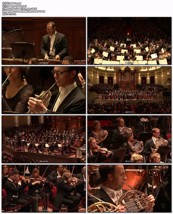 [BD欧美演唱会][Richard Strauss：Also sprach Zarasthustra  Macbeth & Till Eulenspiegel 2015][BDMV][20.9GB][百度网盘]