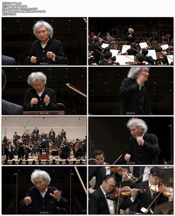 [BD欧美演唱会][贝多芬交响曲 Beethoven Symphonies Nos. 2 & 7 Saito Kinen Orchestra, Seiji Ozawa 2017][BDMV][20.4GB][百度网盘]
