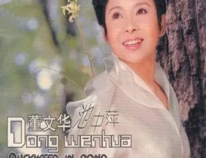 董文华《池中萍》DVD音乐专辑 3.67G 百度网盘资源