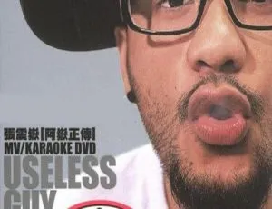 张震岳《阿岳正传》useless guy MV+Karaoke 7.77G DVD音乐专辑 百度网盘资源