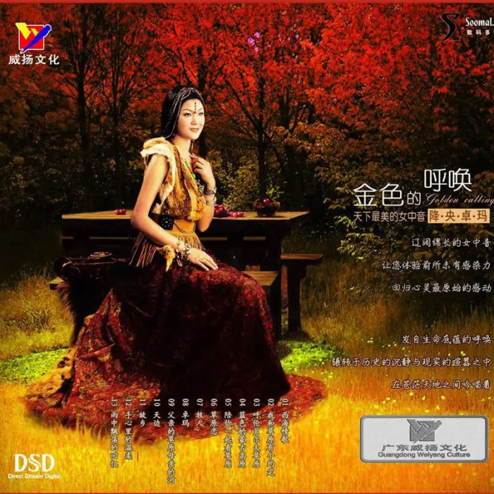 [DVD音乐专辑碟][降央卓玛 – 金色的呼唤][DVD ISO][4.06G][百度网盘]