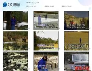 高胜美经典金选原声原影MTV 碟1：DVD音乐专辑 百度网盘资源