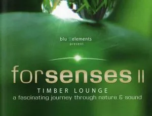 Forsenses II – Timber Lounge 2011 蓝光演示碟 17.5GB 百度网盘资源-小文资源网