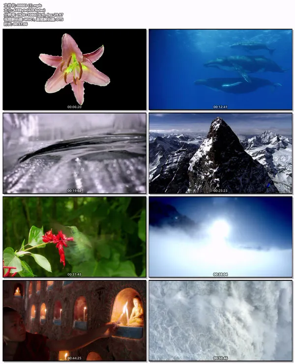[BD蓝光演示碟][Forsenses – A Fascinating Journey into Nature & Sound 2009][BDMV][14.3GB][百度网盘]