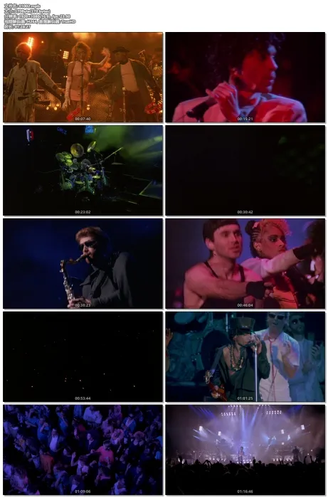 [BD欧美演唱会][王子 时代标志演唱会鹿特丹现场 Prince – Sign O The Times 1987][BDMV 22.5G][百度网盘]