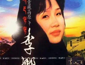 李娜精选集 2004 绝版珍藏 DVD 音乐专辑 2.40G 百度网盘资源
