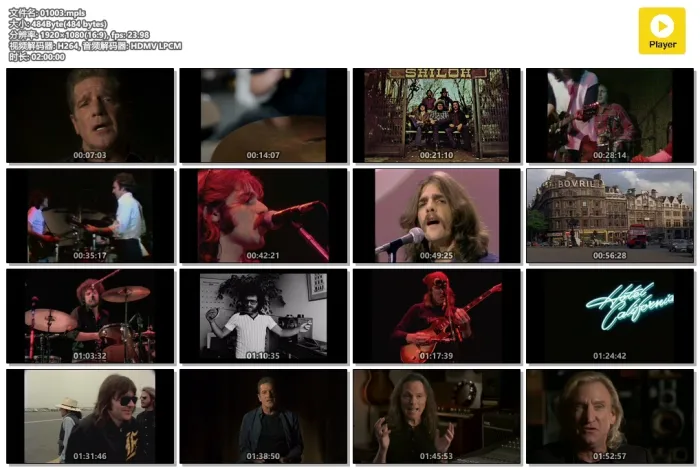 [欧美演唱会][自购 Eagles 老鹰乐队 History Of The Eagles纪录片+1977华盛顿现场][BDMV 3碟 31.2+17.9+12.7G][百度网盘]
