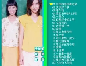 锦绣二重唱滚石原装MTV卡拉OK系列26 DVD音乐专辑 3.85G百度网盘资源