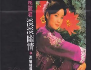邓丽君《淡淡幽情＋深情精选》DVD音乐专辑碟 814.6M 百度网盘资源