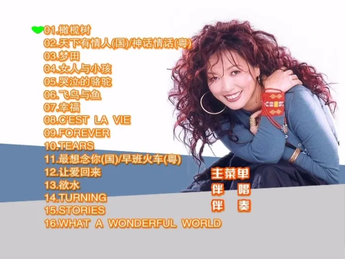 [DVD音乐专辑碟][齐豫 – 滚石原装MTV卡拉OK系列18][DVD-ISO][3.16G][百度网盘]