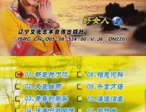 山地情歌好女人版（花仙子）DVD音乐专辑碟2 KTV资源 2.86GB百度网盘下载
