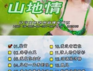 山地情歌泳装版（花仙子）碟5 DVD音乐专辑 3.78GB 百度网盘资源-小文资源网