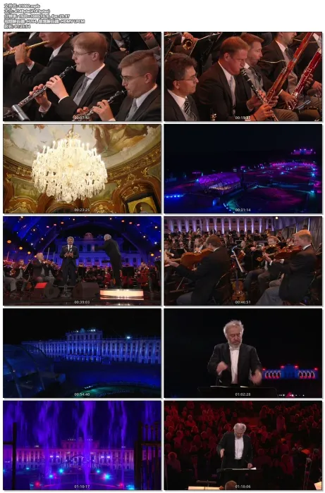 [BD欧美演唱会]维也纳2020夏夜音乐会 Summer Night Concert 2020 1080i BluRay AVC DTS-HD MA5.1[BDMV][19.6G][百度网盘]