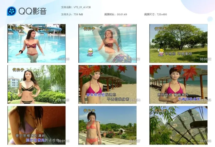 [DVD音乐专辑碟][山地情歌 – 泳装版(花仙子)[碟5][KTV][DVD-ISO][3.78GB][百度网盘]
