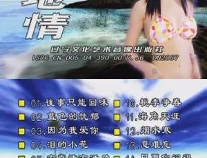 《超赞！山地情歌泳装版（花仙子）DVD音乐专辑碟4 ，KTV必备，4.01GB 百度网盘资源》