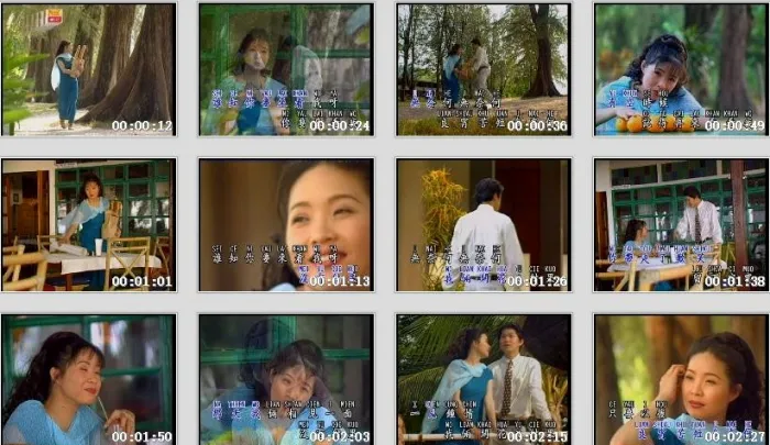 [DVD音乐专辑碟][谢采妘 – 古典情现代心3春泪][KTV][DVD-ISO2.91G][百度网盘]