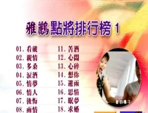 群星雅鹂点将排行榜01 DVD音乐专辑碟 4.18G KTV资源 百度网盘下载