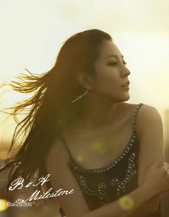 [DVD音乐专辑碟][BoA – Milestone][DVD ISO][2.45G][百度网盘]