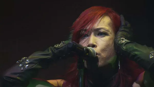 [BD日本演唱会][PIERROT X DIR EN GREY – ANDROGYNOS 2017][BDISO 3BD][100GB][百度网盘]
