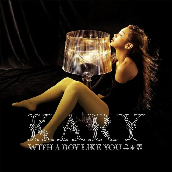 [DVD音乐专辑碟][吴雨霏 – 903 Kary 0609热火乐团演唱会][With a Boy Like You][[DVD-ISO7.53G]][百度网盘]