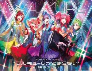BD 珍藏！2017 年日本演唱会 ワルキューレ燃爆横浜アリーナ 45GB 百度网盘速存