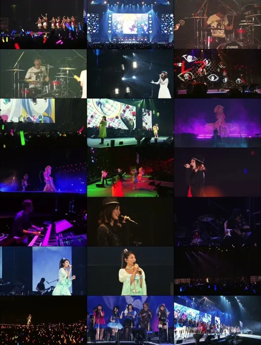 [BD日本演唱会][夏日漫音祭 Animelo Summer Live 2013 -FLAG NINE][MKV][76.7G][百度网盘]