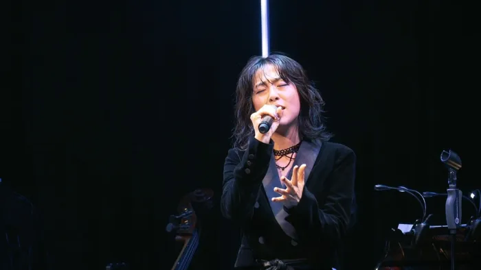 [BD日本演唱会][泽野弘之 BEST OF VOCAL WORKS [nZk] 2(初回生产限定盘)(Blu-ray Disc付)(特典なし) Limited Edition][CD+Blu-ray][22G][百度网盘]
