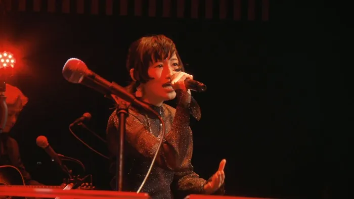 [BD日本演唱会][泽野弘之 BEST OF VOCAL WORKS [nZk] 2(初回生产限定盘)(Blu-ray Disc付)(特典なし) Limited Edition][CD+Blu-ray][22G][百度网盘]