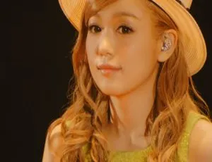 西野加奈 2015 日本巡回演唱会 BD 资源 40.8G 百度网盘下载