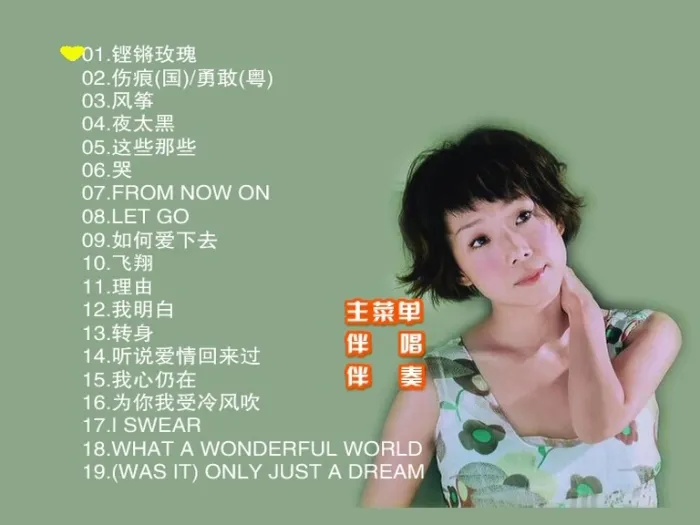 [DVD音乐专辑碟][林忆莲 – 滚石原装MTV卡拉OK系列35][KTV][DVD-ISO][3.95G][百度网盘]