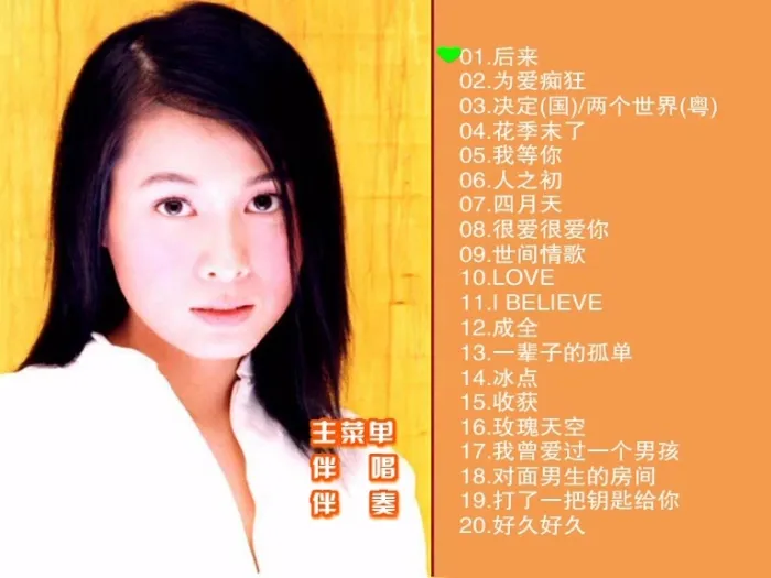 [DVD音乐专辑碟][刘若英 – 滚石原装MTV卡拉OK系列13][KTV][DVD-ISO][3.89G][百度网盘]