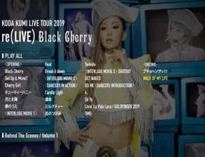 倖田来未 2019 re(LIVE)~Black Cherry~2020 日本演唱会 BDISO 38.1G 百度网盘资源-小文资源网