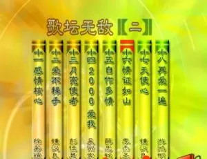 群星《歌坛无敌02》DVD音乐专辑碟：3.82G KTV必备，百度网盘下载