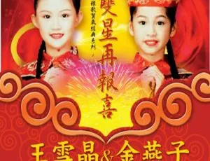 王雪晶《双星再报喜》DVD音乐专辑碟 4.2G KTV版 百度网盘资源