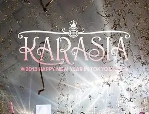 KARA东京巨蛋2013新年演唱会BD资源 40.7G 百度网盘-小文资源网