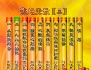 群星《歌坛无敌03》KTV必备DVD音乐专辑3.36G 百度网盘资源