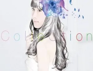 BD日本演唱会：蝴蝶ChouCho ColleCtion “bouquet” 2016初回限定盘 18.5G百度网盘资源