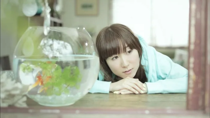 [BD日本演唱会][蝴蝶 ChouCho ColleCtion “bouquet” 2016 初回限定盘][BDISO][18.5G][百度网盘]